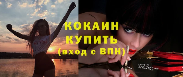 шишки Армянск