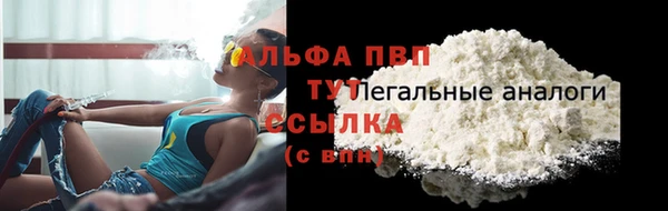 дживик Арсеньев