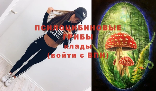 шишки Армянск