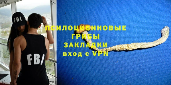 дживик Арсеньев