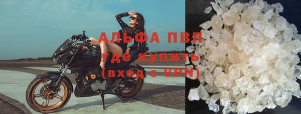шишки Армянск
