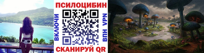 кракен вход Бобров Галлюциногенные грибы ЛСД